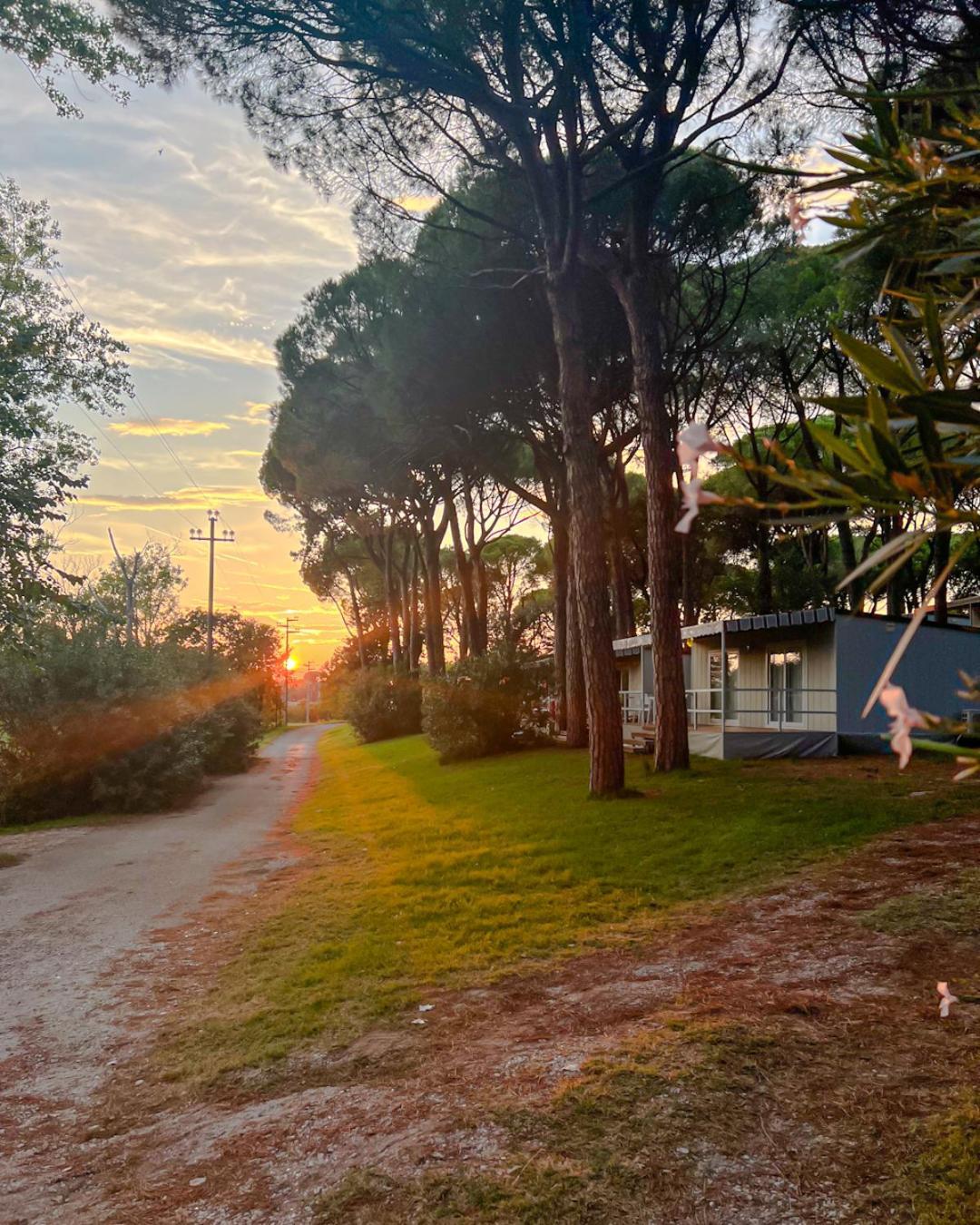 Belvedere Pineta Camping Village Grado מראה חיצוני תמונה